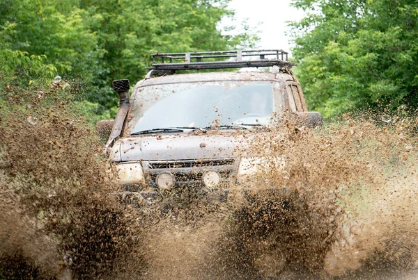 Balades Voiture Hors Route Dans Une Flaque Eau Image En Vente