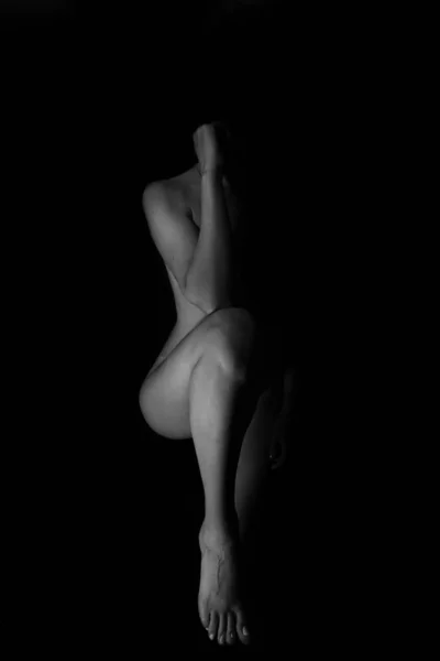 Vrouwelijk Lichaam Silhouet Vrouw Lichaam Lijnen Een Donkere Achtergrond Stockafbeelding
