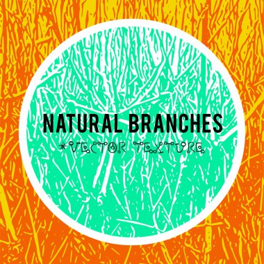 Doğal dal dokulu arka plan ve çevre grunge öğeleri oluşturmak için tasarım afiş, müzik kapak, duvar kağıtları, el ilanları, Web siteleri grunge biyo fikirler ile vektör.