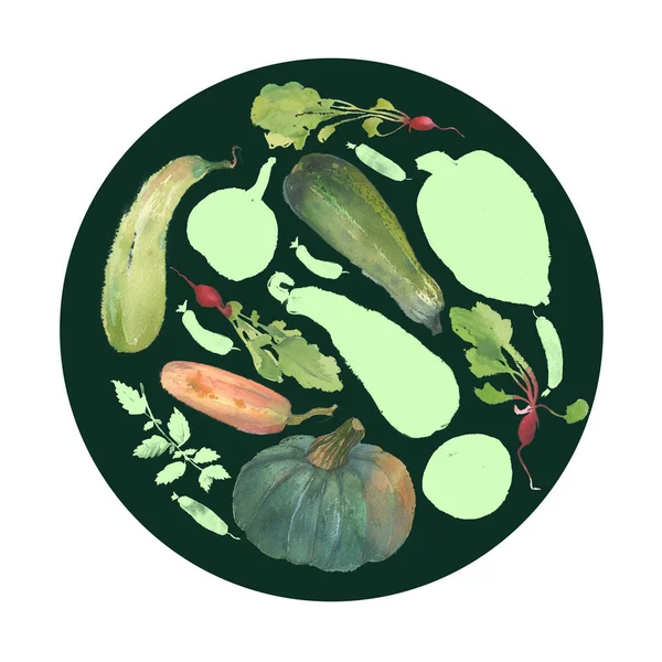 水彩蔬菜圆与自然例证蔬菜为设计标志 农业企业标志 有机食品横幅 健康品牌标签 新鲜水彩画南瓜 青黄瓜 — 图库照片