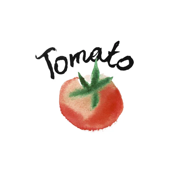 Tomate Acuarela Ilustración Artística Para Diseño Alimentos Orgánicos Diseño Etiquetas — Foto de Stock