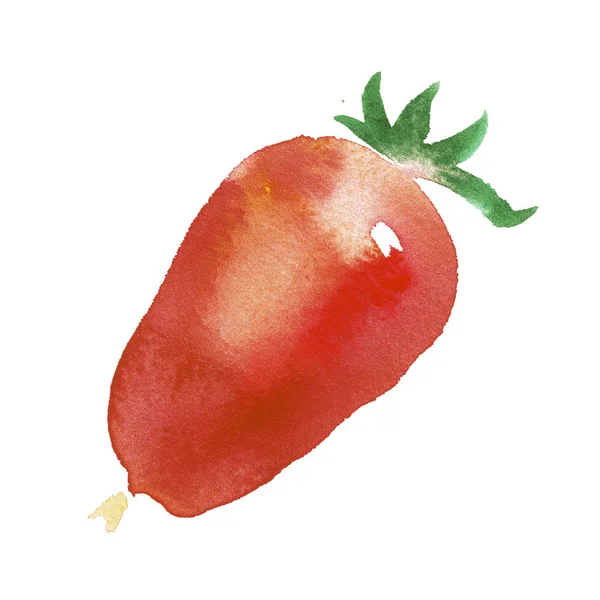 Aquarelle Tomate Illustration Artistique Pour Conception Aliments Biologiques Conception Étiquettes — Photo