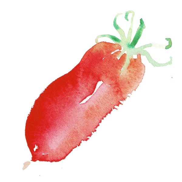 Aquarelle Tomate Illustration Artistique Pour Conception Aliments Biologiques Conception Étiquettes — Photo