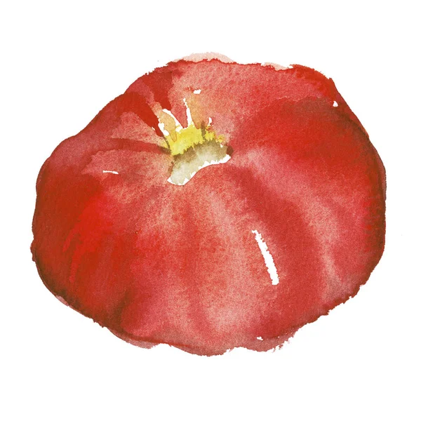 トマト水彩画芸術的なイラスト デザイン有機食品 ペースト レストラン ビジネスのラベル デザイン — ストック写真