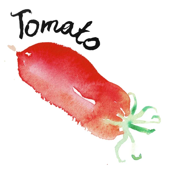 Aquarelle Tomate Illustration Artistique Pour Conception Aliments Biologiques Conception Étiquettes — Photo