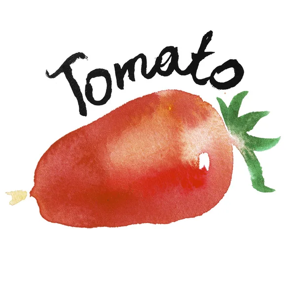 Tomate Acuarela Ilustración Artística Para Diseño Alimentos Orgánicos Diseño Etiquetas — Foto de Stock