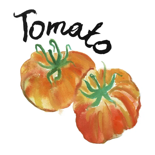 番茄水彩艺术插画设计有机食品 贴标设计 餐饮业务 — 图库照片
