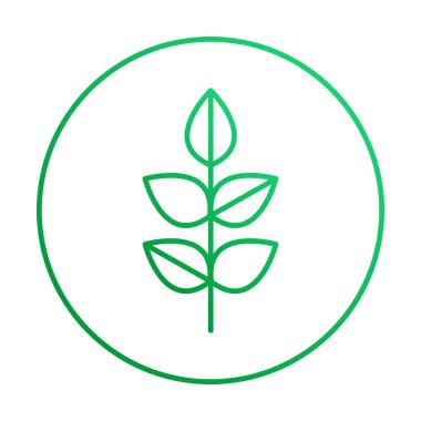 Vektör yaprak ince doğrusal simgesini ekoloji ve anahat stili ile organik amblemi.