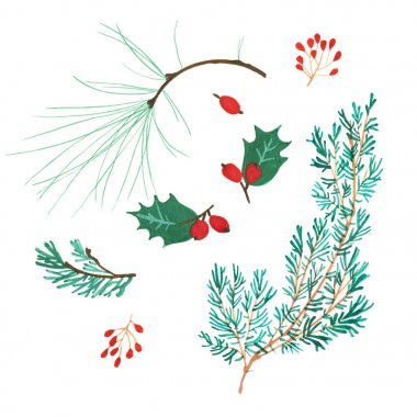 Beyaz yaprakları üzerinde kırmızı berry izole köknar ile çam konisi x-mas dalı. Noel partisi el ilanı tasarım konsepti. Kış satış fuarı markalama. El boyaması doğal holly, holm meşe ve ilex ile Aralık promo dekorasyon. Canlı geleneksel Noel renkleri.