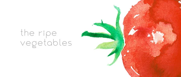 素食水平模板横幅 生物食品背景与水色西红柿 天然素食背景 附有番茄酱插图 健康饮食蔬菜厨房 — 图库照片