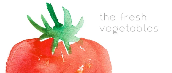 Vegetarianizmus Vízszintes Sablon Banner Bioélelmiszer Háttér Akvarell Paradicsom Természetes Vegetáriánus — Stock Fotó