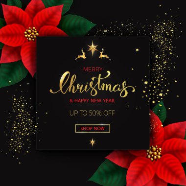 Neşeli Noel arka plan ile Atatürk çiçeği çiçek satışı büyük başlığı. 