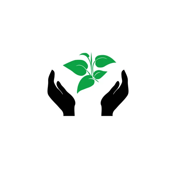 Isolée icône de la plante verte dans les mains noires sur fond blanc. Silhouette de feuilles et de mains. Symbole de soin, de protection , — Image vectorielle