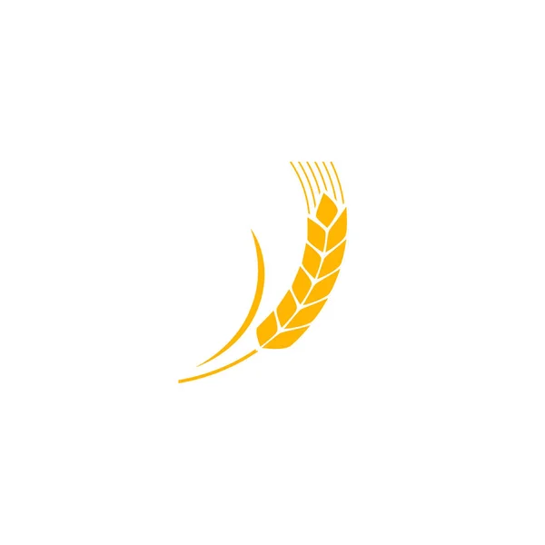Pšenice na bílém podkladě. Silueta obilných rostlin Ikona Spica. Ucho je organické. ilustrace plochého designu — Stockový vektor
