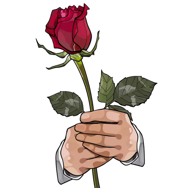 Painted Red Rose Hands Man White Background — Stock Vector