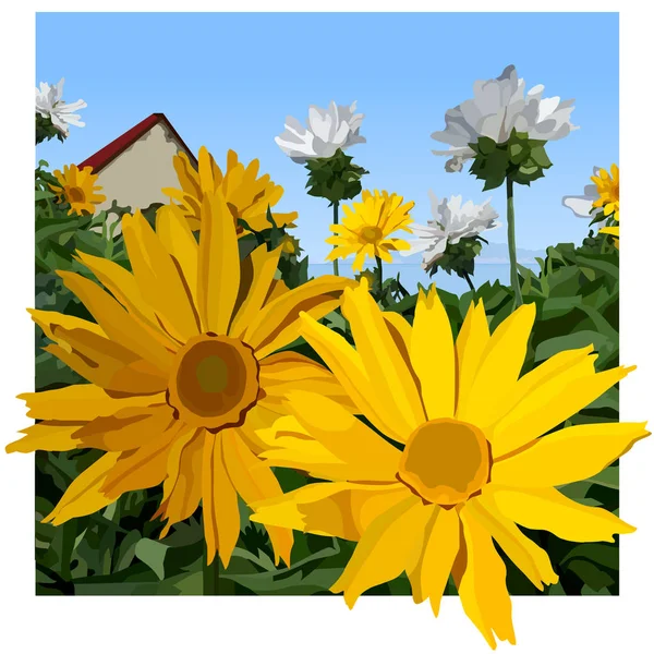 Painted Yellow Chamomile Flowers Summer Landscape Background House Roof — Stock Vector