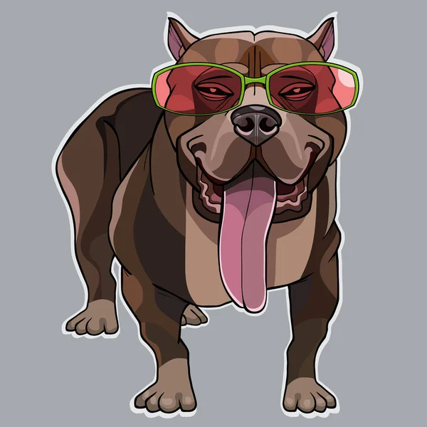 Dibujos Animados Muscular Perro Marrón Pitbull Las Gafas Color Rosa — Vector de stock