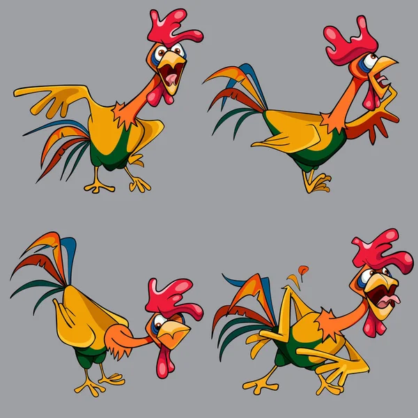 Cartoon Funny Veelkleurige Cockerel Vier Verschillende Poses — Stockvector