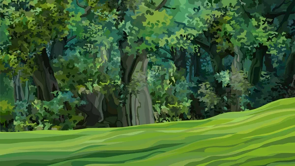 Cartoon dikke groene bladverliezende wouden met groene glade — Stockvector