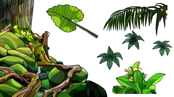 Serie di elementi di piante di cartone animato di foglie di radici — Vettoriale Stock