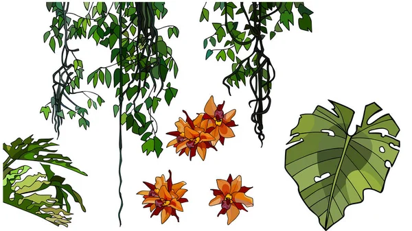 Conjunto de elementos de dibujos animados de ramas con hojas y flores de plantas tropicales — Archivo Imágenes Vectoriales