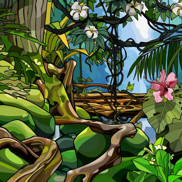 두꺼운 다채로운 열 대 나무 및 식물의 정글 조각 — 스톡 벡터