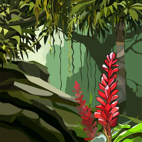Malowane kwiaty imbiru wśród tropikalnych roślin w dżungli — Wektor stockowy