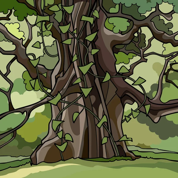 Břečťan pokrýváš velký kreslený strom v zeleném lese — Stockový vektor