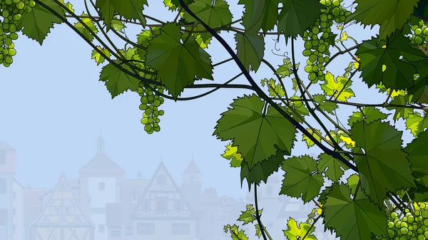 Фон з красивою лозою і зеленим виноградом — стоковий вектор