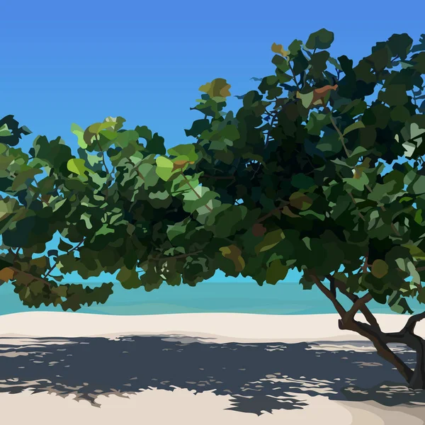 Landscape sunny sandy beach with tropical tree — Stock Vector