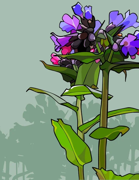 Flores pintadas Lungwort sobre un fondo simple — Vector de stock