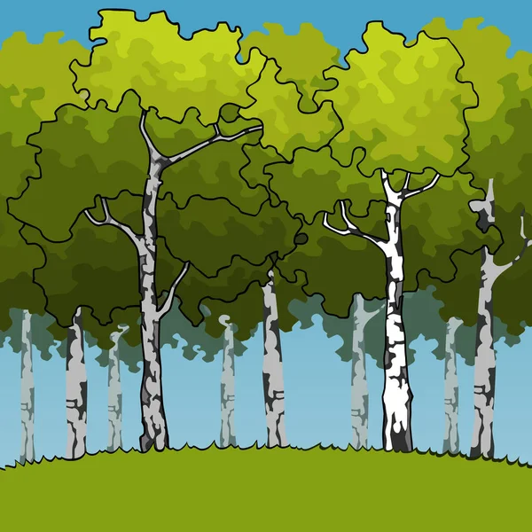Cartoon green birch forest on green meadow — Stock Illustration Cartoon Green Birch Forest Green Meadow Stock Vector
