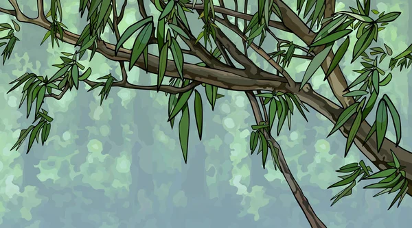 Намальована Красива Гілка Дерева Зеленим Листям Фоні Лісу — стоковий вектор