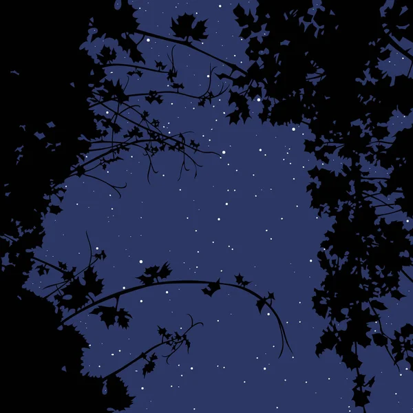 植物のシルエットを通して夜空の背景 ベクトル画像 — ストックベクタ