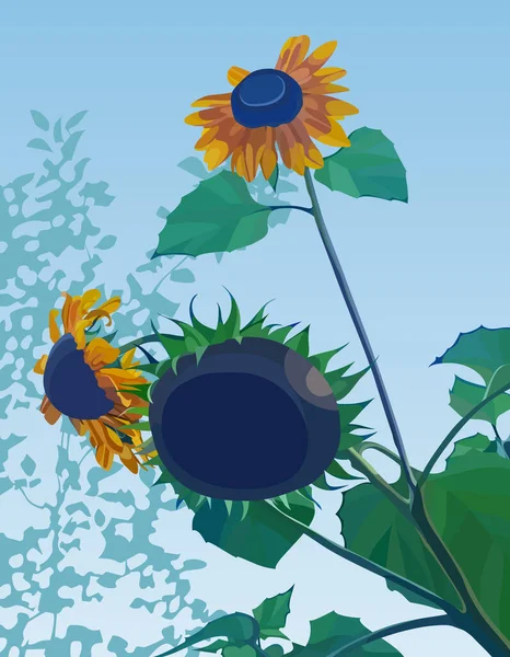 Girasoles Decorativos Dibujos Animados Que Crecen Bajo Cielo Azul Imagen — Vector de stock