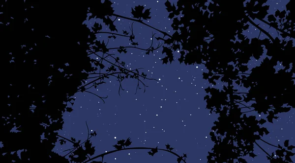 Widok Nocnego Gwiaździstego Nieba Przez Rośliny Wizerunek Wektora — Wektor stockowy