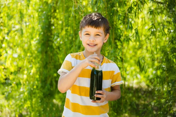 Niño Niño Beber Batidos Verdes Saludables Aire Libre Estilo Vida —  Fotos de Stock