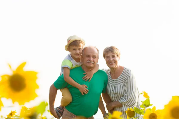 Abuelos Con Nieto Pie Verano Aire Libre Campo Girasol Concepto —  Fotos de Stock