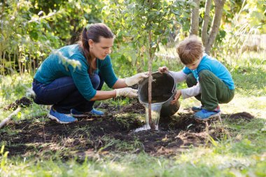 Anne ve oğul bahçeye ağaç dikiyorlar.