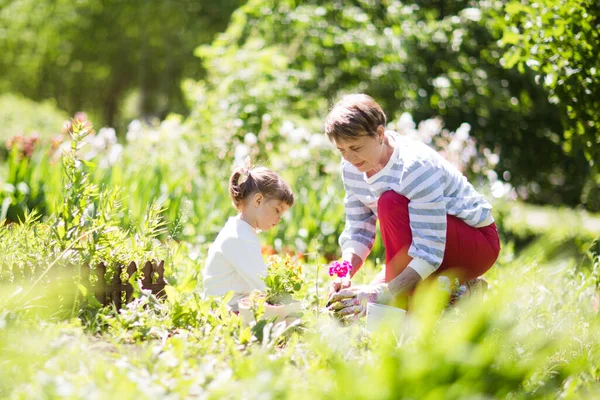 Abuela con su nieta trabajando en el jardín . — Foto de Stock