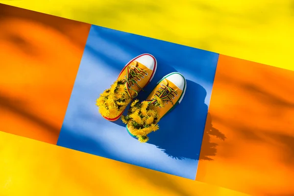 Yellow Sneakers Flowers Dandelions Multi Colored Background Shadows Trees Copy — Stock Photo, Image