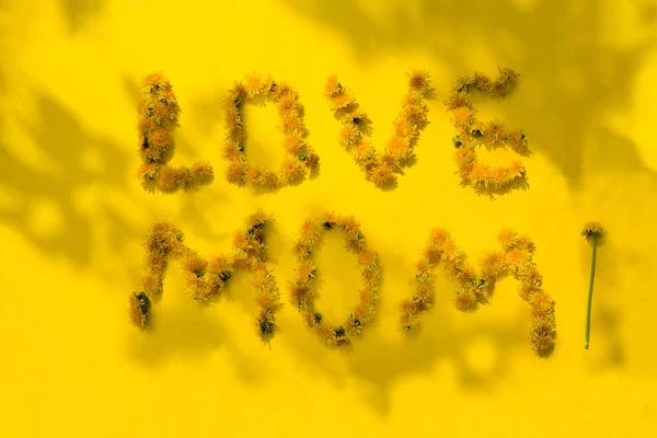 Inscription Love Mom Dandelion Flowers Yellow Background Happy Mother Day — Stock Photo, Image
