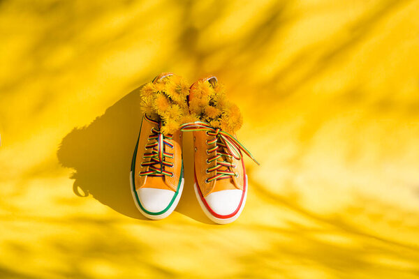 Yellow sneakers with flowers dandelions on yellow background with shadows of trees with copy space.  End of quarantine. deep long shadows