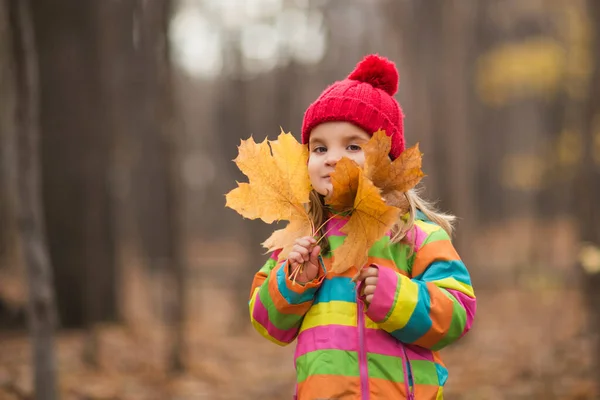 Adorable Niña Feliz Una Gorra Roja Con Hojas Caídas Otoño —  Fotos de Stock