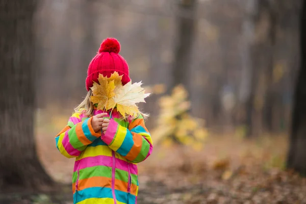 Adorable Niña Feliz Una Gorra Roja Con Hojas Caídas Otoño —  Fotos de Stock