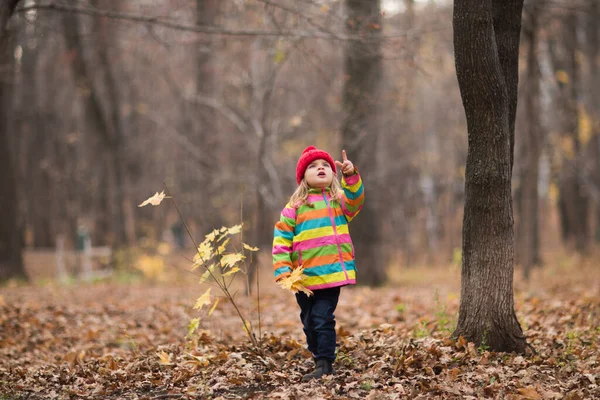 Adorable Happy Kid Girl Red Cap Fallen Autumn Leaves Autumn — Stock Photo, Image