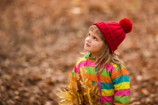 Sonbahar Parkında Yaprakları Dökülen Kırmızı Şapkalı Sevimli Mutlu Kız — Stok fotoğraf
