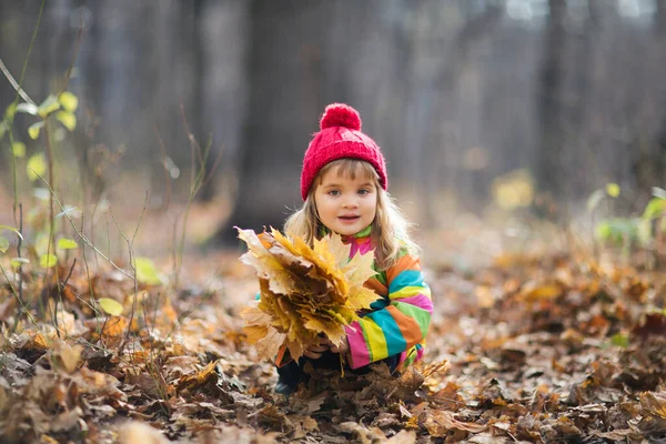 Imádnivaló Boldog Kislány Piros Sapkában Bukott Őszi Levelekkel Őszi Parkban — Stock Fotó