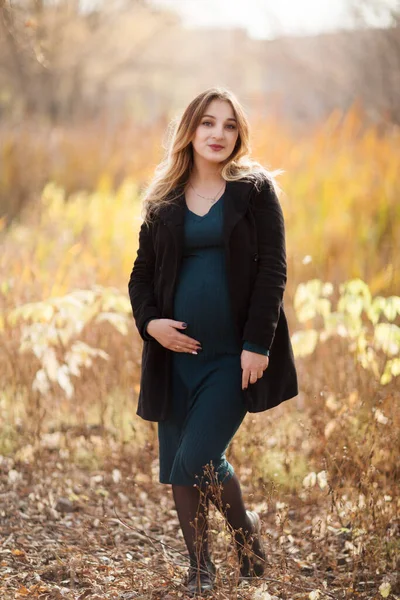 Junge Schwangere Frau Entspannt Sich Draußen Herbstlichen Park Sturz Hygge — Stockfoto