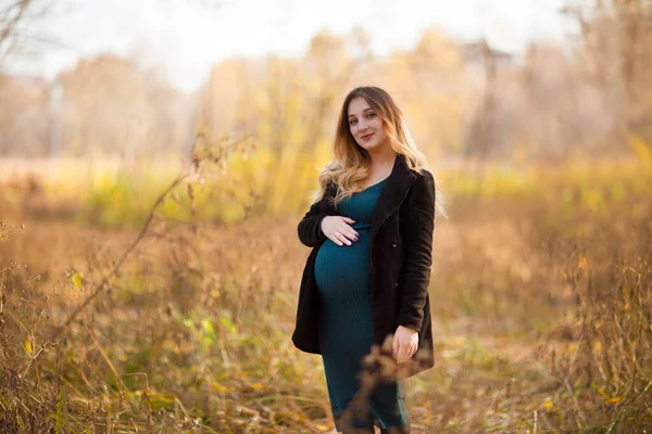Jonge Zwangere Vrouw Ontspant Zich Buiten Het Herfstpark Vallen Hygge — Stockfoto